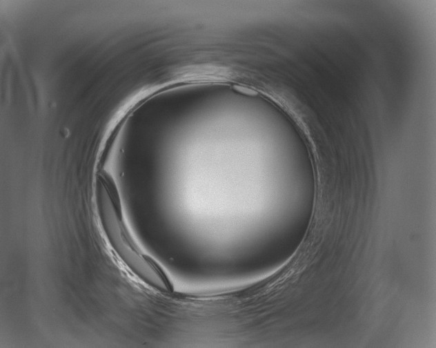 X0000081421488200701121222