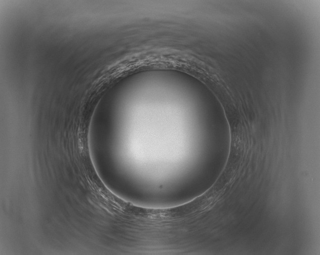 X0000081421490200701121221