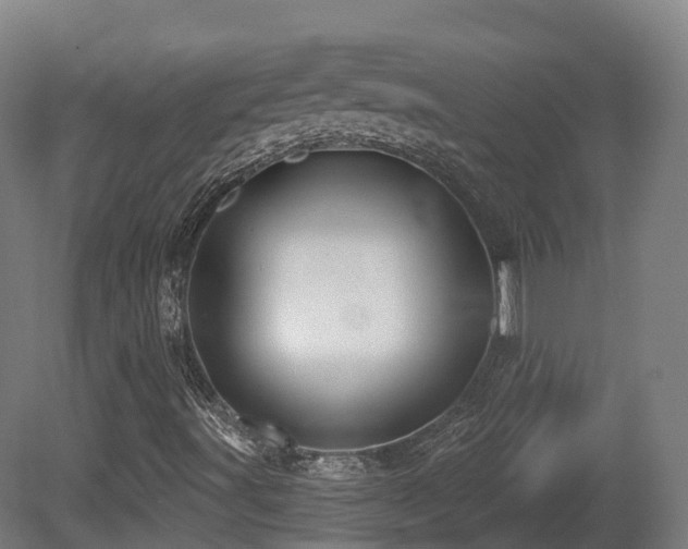 X0000081421491200701121221