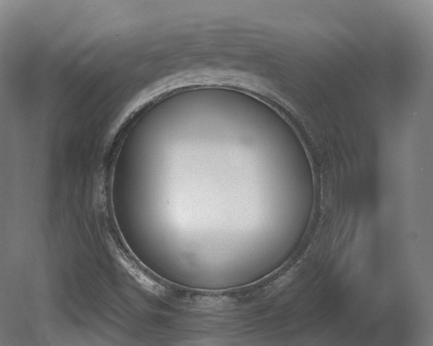 X0000081421498200701121221