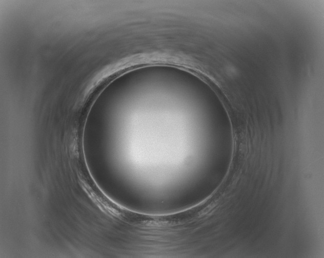 X0000081421499200701121221