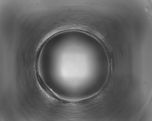X0000081421500200701121221