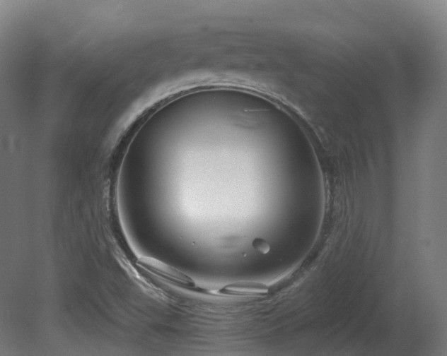 X0000081421503200701121221