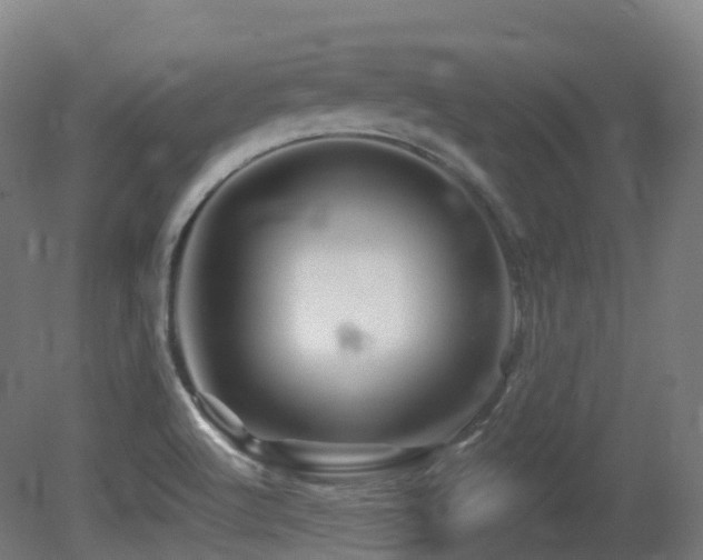 X0000081421512200701121222