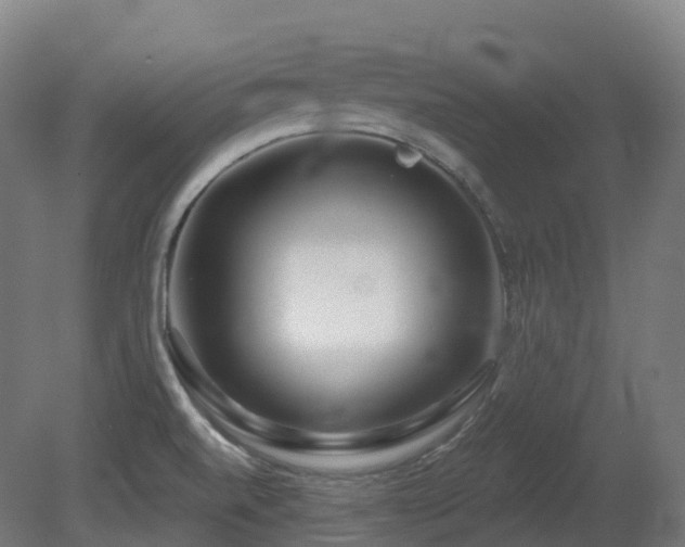 X0000081421520200701121222