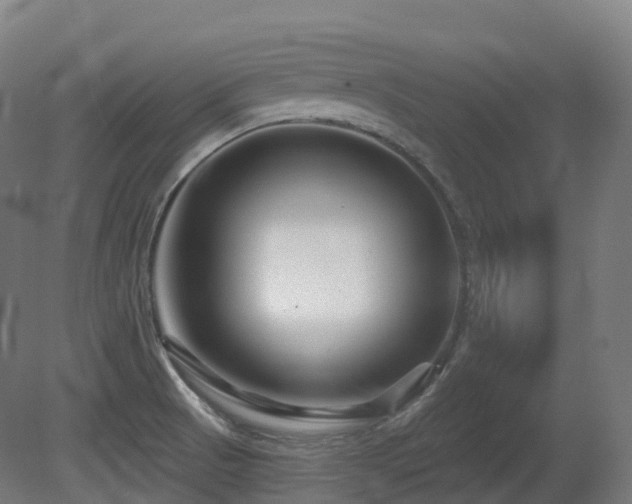 X0000081421521200701121222