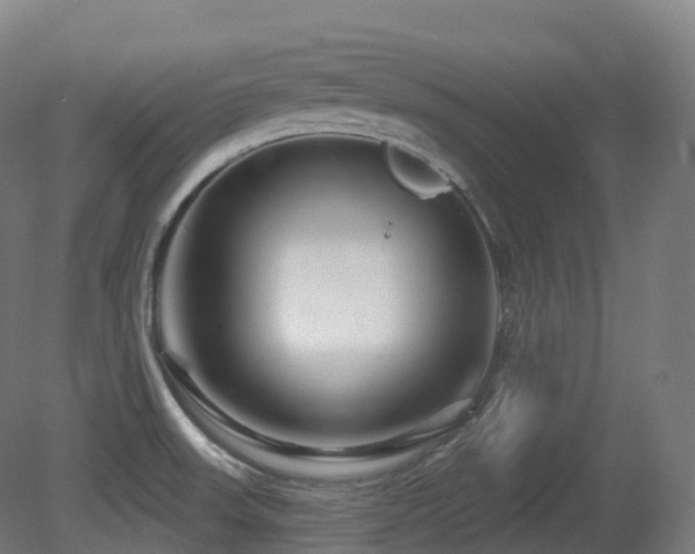 X0000081421523200701121222