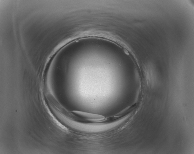 X0000081421525200701121222