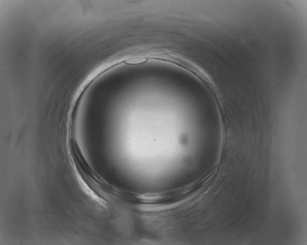 X0000081421528200701121222