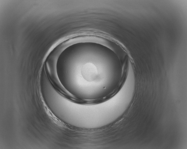X0000081421530200701121222