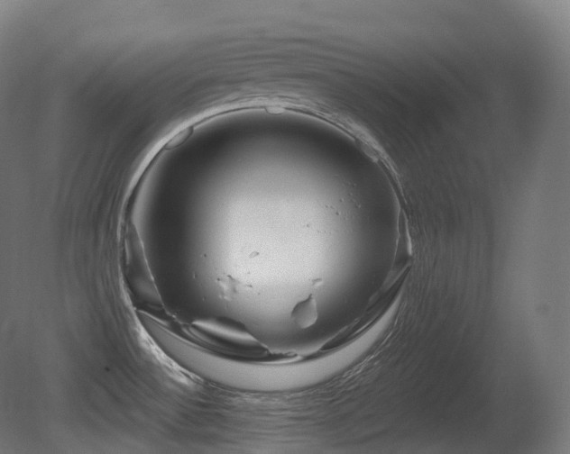 X0000081421532200701121222