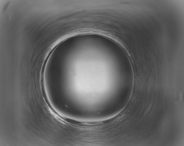 X0000081421535200701121222
