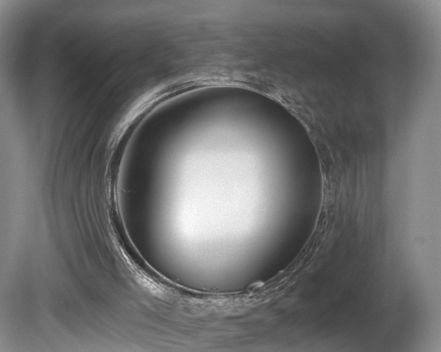 X0000081420005200701191608