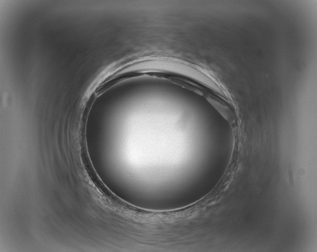 X0000081420007200701191608