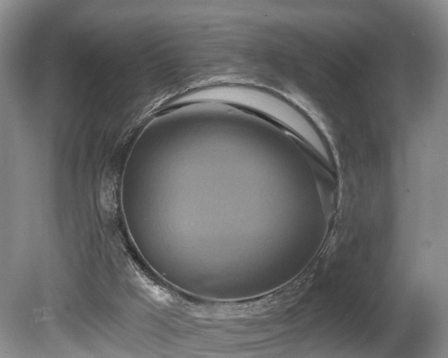 X0000081420009200701191608