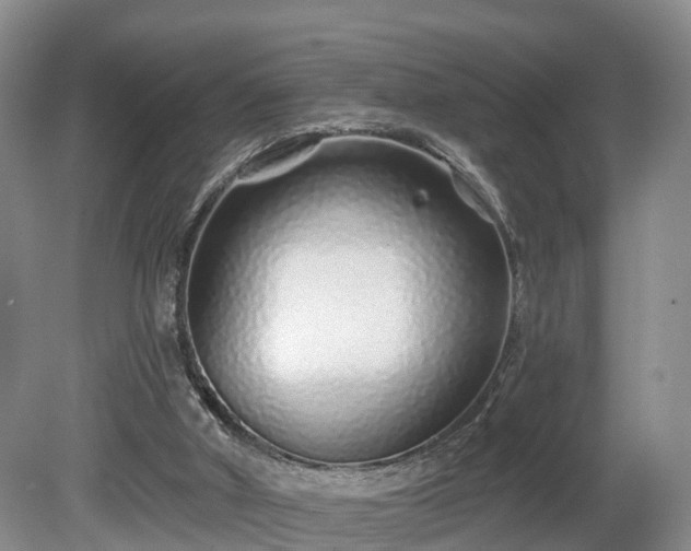 X0000081420010200701191608