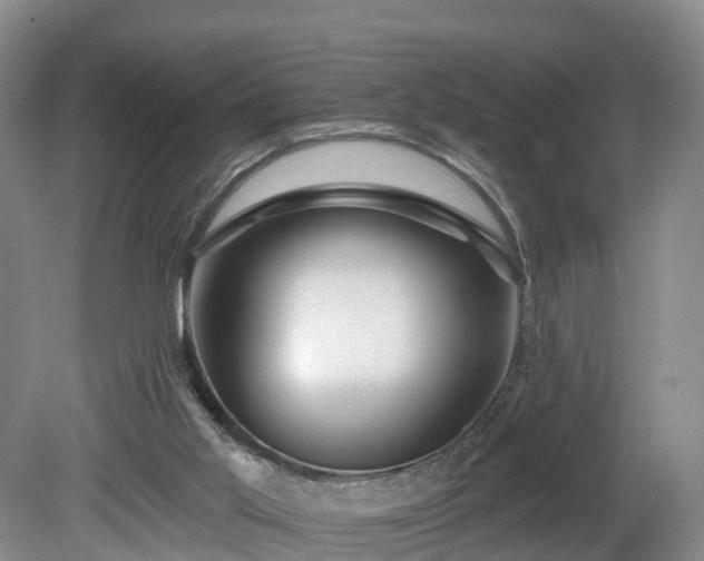 X0000081420013200701191608