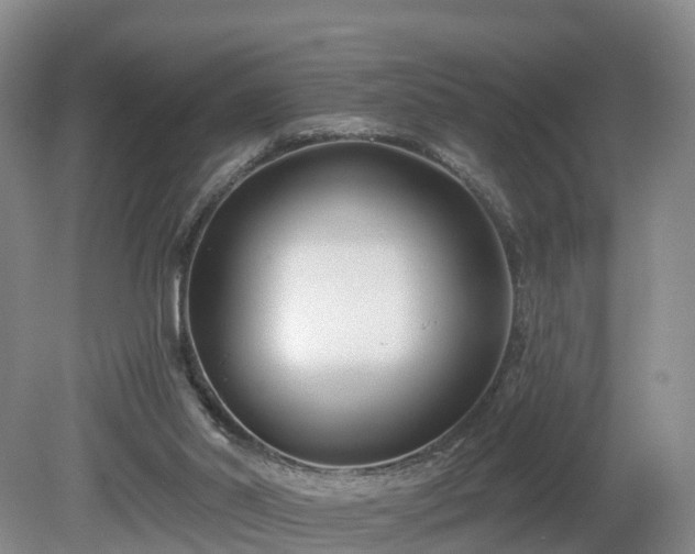 X0000081420014200701191608