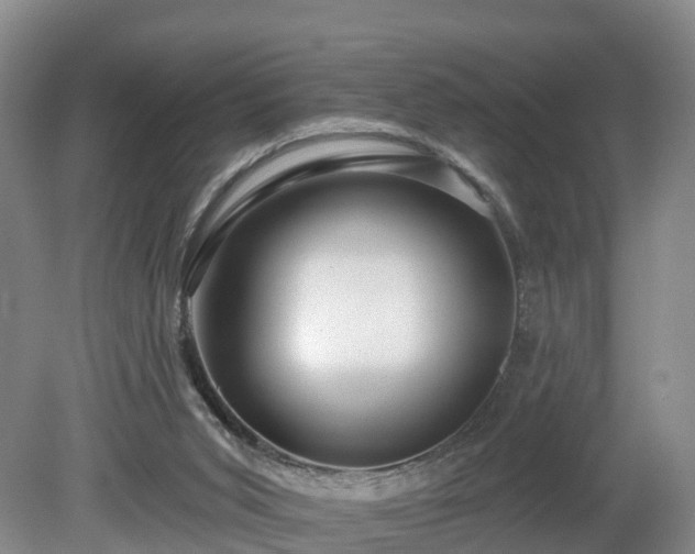 X0000081420015200701191608