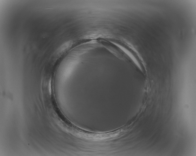 X0000081420019200701191608