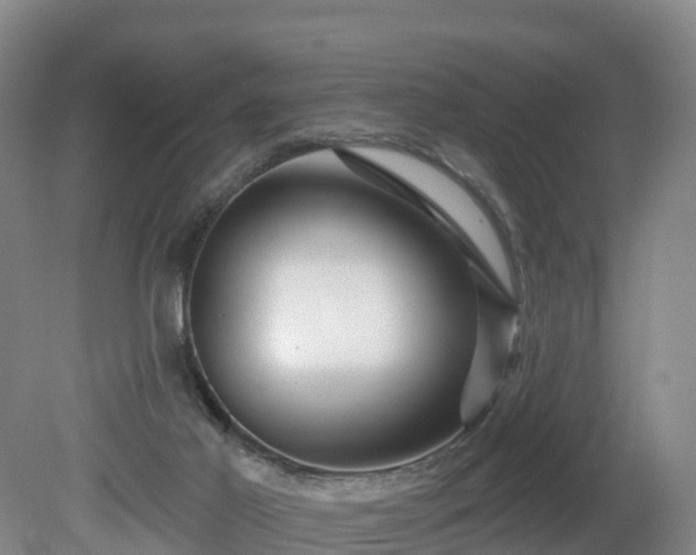 X0000081420021200701191608