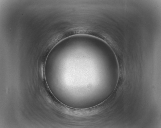 X0000081420022200701191608