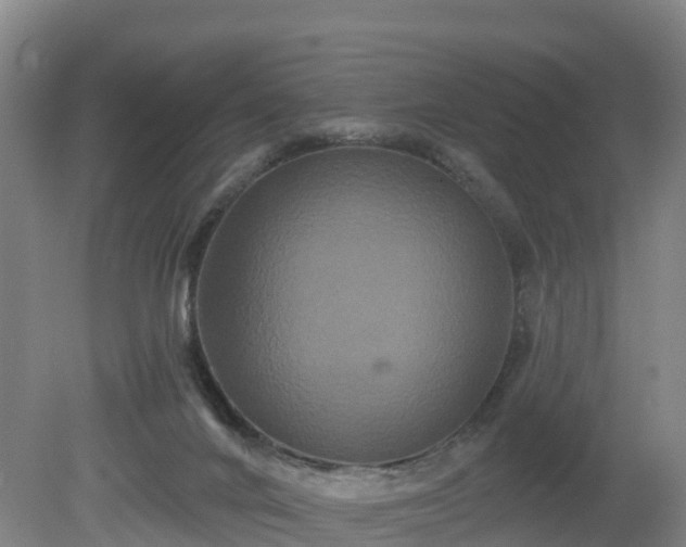 X0000081420024200701191607