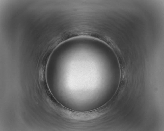 X0000081420026200701191607