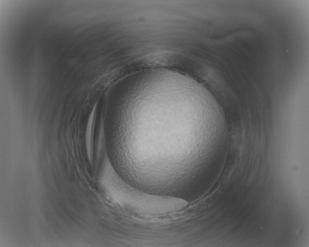X0000081420029200701191607