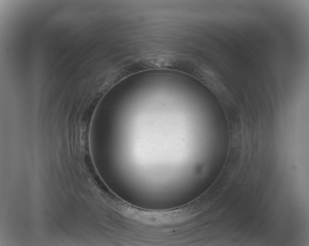 X0000081420030200701191607
