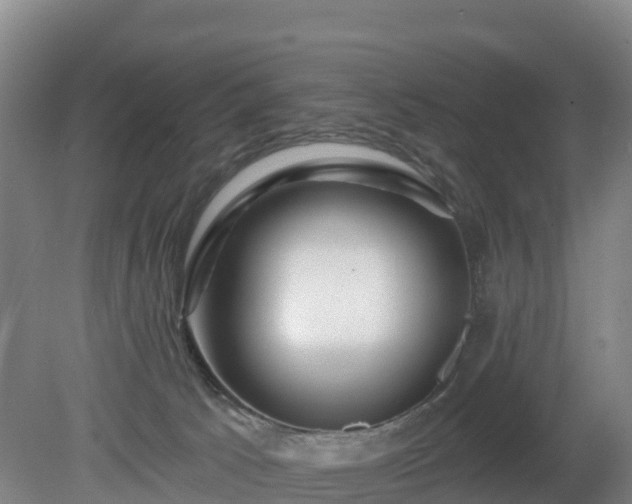 X0000081420033200701191607