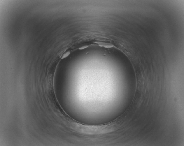 X0000081420034200701191607