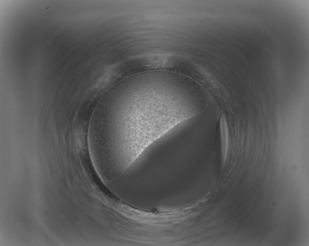 X0000081420035200701191607