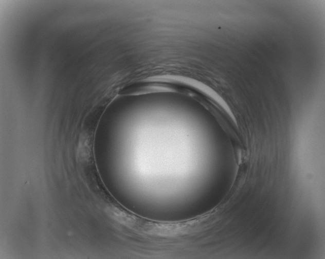 X0000081420037200701191607