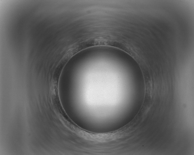 X0000081420038200701191607