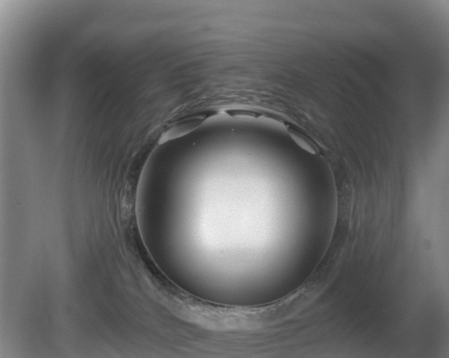 X0000081420040200701191607