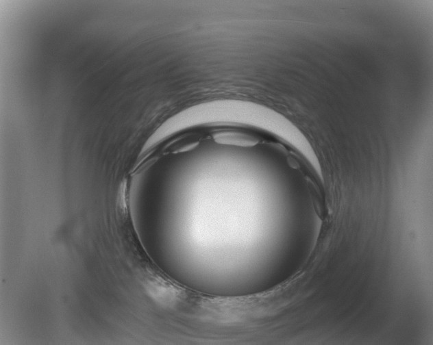 X0000081420041200701191607