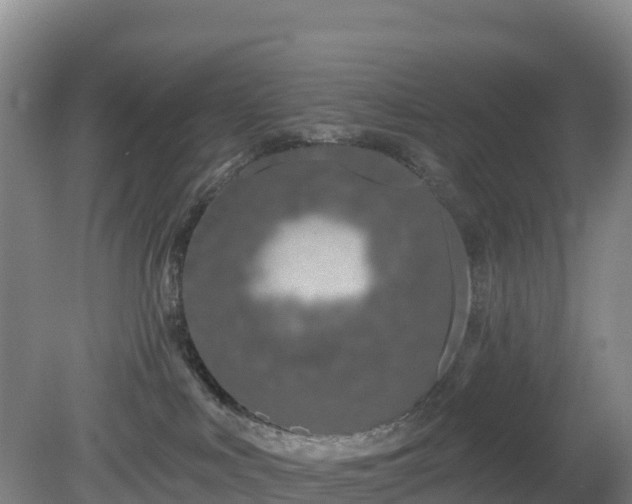 X0000081420043200701191607