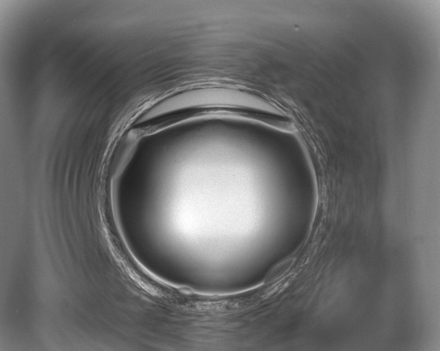 X0000081420049200701191606
