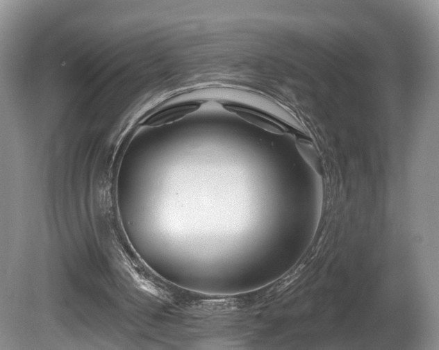 X0000081420050200701191606