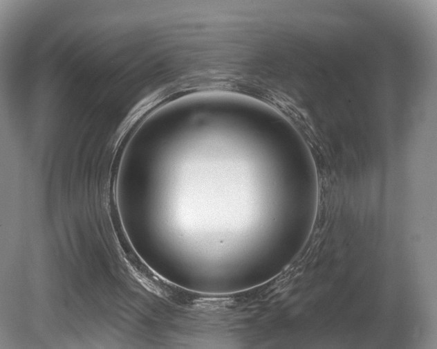 X0000081420051200701191606