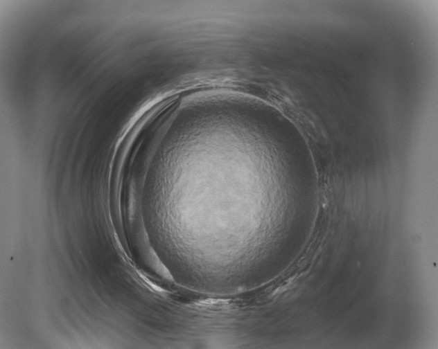 X0000081420052200701191606