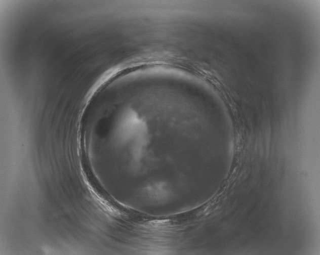 X0000081420054200701191606