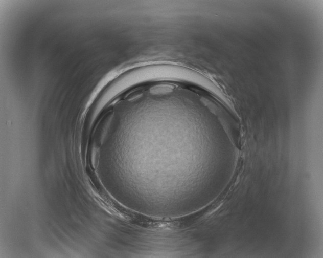 X0000081420056200701191606