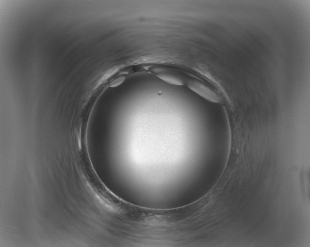 X0000081420062200701191606