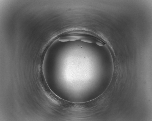 X0000081420063200701191606