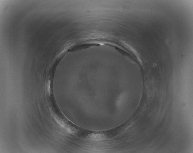 X0000081420067200701191607
