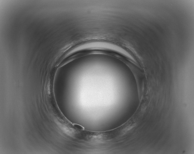 X0000081420068200701191607