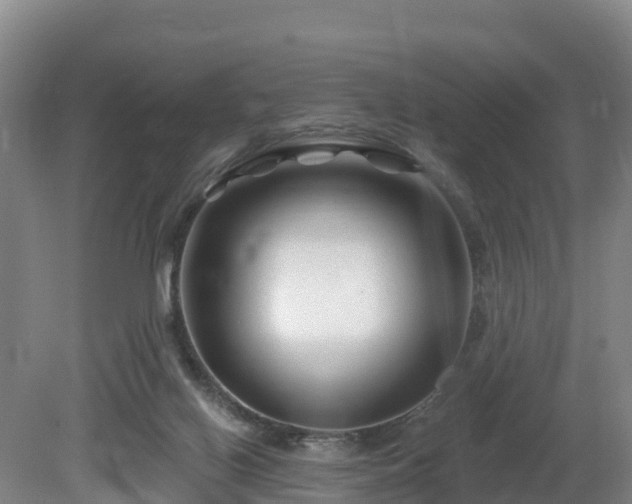 X0000081420070200701191607