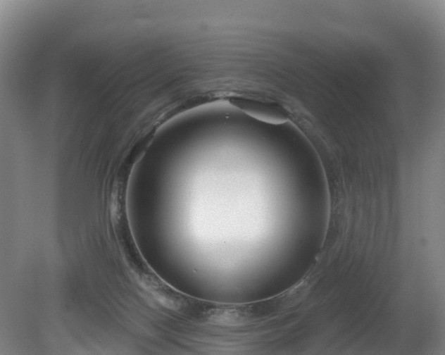 X0000081420074200701191607